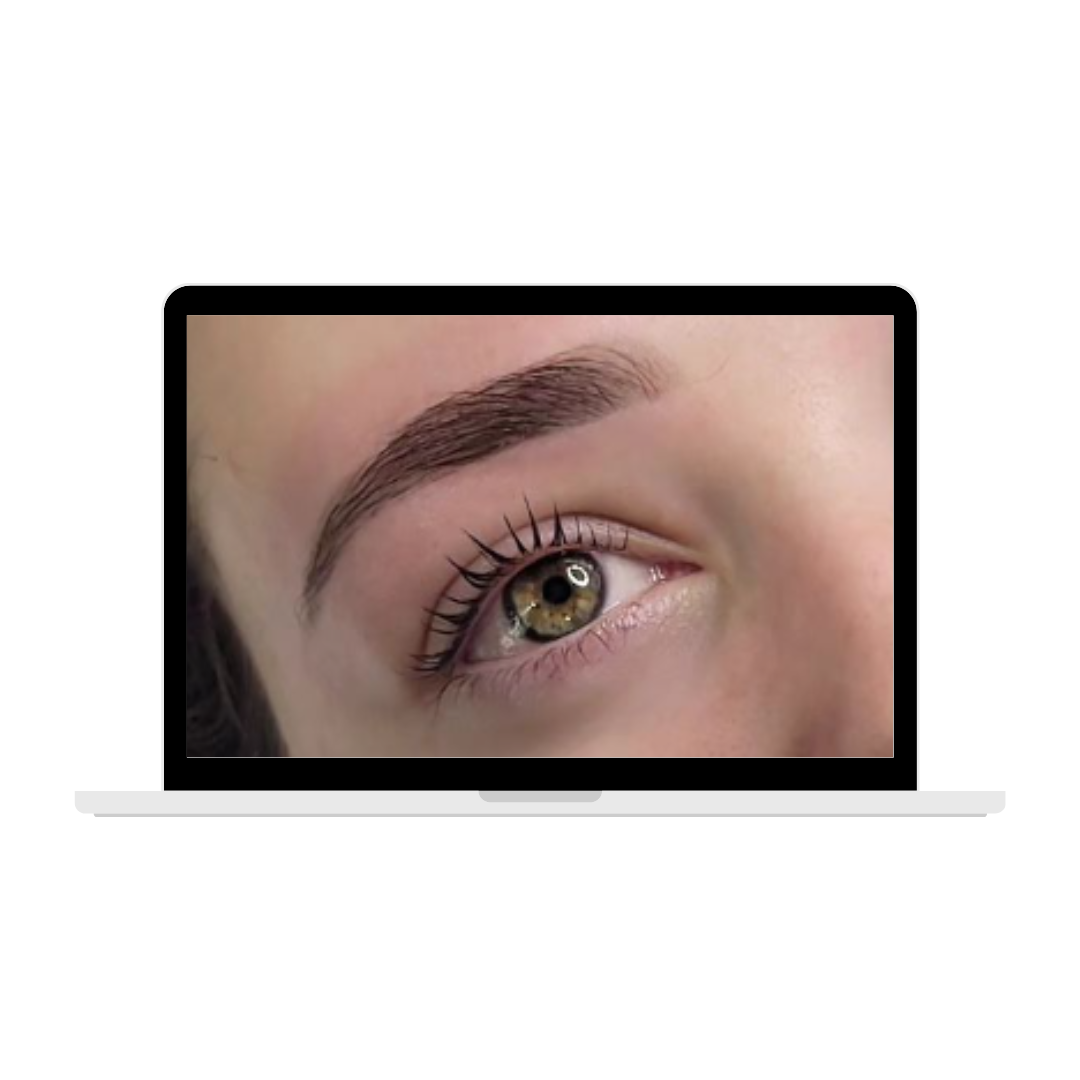 Lash & Brow Tint Online Course