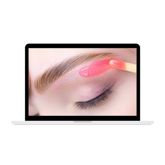 Brow Sculpt & Tint Online Course